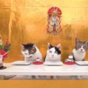 ヒメ日記 2025/01/05 14:47 投稿 きょうか 新橋夜這右衛門娼店～夜這・即尺・痴漢・人妻～