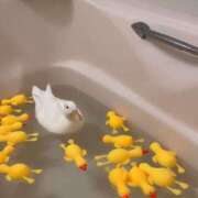 ヒメ日記 2025/02/06 16:21 投稿 きょうか 新橋夜這右衛門娼店～夜這・即尺・痴漢・人妻～