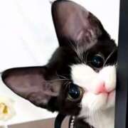 ヒメ日記 2025/02/10 11:56 投稿 きょうか 新橋夜這右衛門娼店～夜這・即尺・痴漢・人妻～