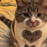 ヒメ日記 2025/02/10 23:10 投稿 きょうか 新橋夜這右衛門娼店～夜這・即尺・痴漢・人妻～