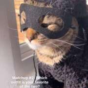 ヒメ日記 2025/03/03 15:32 投稿 きょうか 新橋夜這右衛門娼店～夜這・即尺・痴漢・人妻～