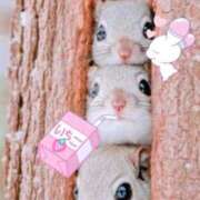 ヒメ日記 2025/05/15 07:53 投稿 きょうか 新橋夜這右衛門娼店～夜這・即尺・痴漢・人妻～