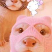 ヒメ日記 2025/05/24 23:44 投稿 きょうか 新橋夜這右衛門娼店～夜這・即尺・痴漢・人妻～