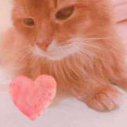 ヒメ日記 2025/06/12 10:40 投稿 きょうか 新橋夜這右衛門娼店～夜這・即尺・痴漢・人妻～