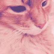 ヒメ日記 2025/07/04 20:37 投稿 きょうか 新橋夜這右衛門娼店～夜這・即尺・痴漢・人妻～