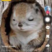 ヒメ日記 2025/09/06 03:05 投稿 きょうか 新橋夜這右衛門娼店～夜這・即尺・痴漢・人妻～