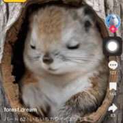 ヒメ日記 2025/09/10 01:39 投稿 きょうか 新橋夜這右衛門娼店～夜這・即尺・痴漢・人妻～