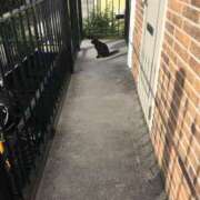 ヒメ日記 2025/10/08 19:39 投稿 きょうか 新橋夜這右衛門娼店～夜這・即尺・痴漢・人妻～