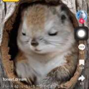 ヒメ日記 2025/10/11 02:07 投稿 きょうか 新橋夜這右衛門娼店～夜這・即尺・痴漢・人妻～