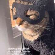 ヒメ日記 2025/10/15 20:34 投稿 きょうか 新橋夜這右衛門娼店～夜這・即尺・痴漢・人妻～