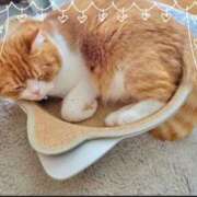 ヒメ日記 2025/11/21 17:01 投稿 きょうか 新橋夜這右衛門娼店～夜這・即尺・痴漢・人妻～