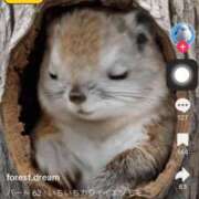 ヒメ日記 2025/11/22 22:16 投稿 きょうか 新橋夜這右衛門娼店～夜這・即尺・痴漢・人妻～