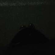 ヒメ日記 2025/11/26 17:16 投稿 きょうか 新橋夜這右衛門娼店～夜這・即尺・痴漢・人妻～