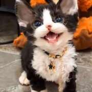 ヒメ日記 2025/11/28 22:15 投稿 きょうか 新橋夜這右衛門娼店～夜這・即尺・痴漢・人妻～