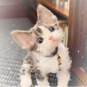 ヒメ日記 2025/12/04 02:53 投稿 きょうか 新橋夜這右衛門娼店～夜這・即尺・痴漢・人妻～