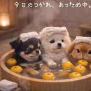 ヒメ日記 2025/12/28 01:06 投稿 きょうか 新橋夜這右衛門娼店～夜這・即尺・痴漢・人妻～