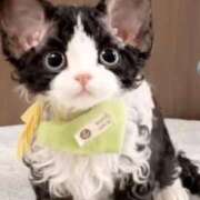 ヒメ日記 2026/03/21 16:23 投稿 きょうか 新橋夜這右衛門娼店～夜這・即尺・痴漢・人妻～