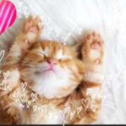 きょうか はっけよーい🙌💕 新橋夜這右衛門娼店～夜這・即尺・痴漢・人妻～