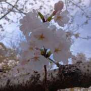 ヒメ日記 2026/04/11 13:11 投稿 園崎　ゆいみ エテルナ京都