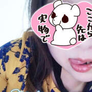 ヒメ日記 2025/10/30 23:41 投稿 あめ 蒼いうさぎ