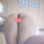 ヒメ日記 2025/11/18 09:17 投稿 あめ 蒼いうさぎ