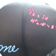 ヒメ日記 2026/01/21 14:00 投稿 あめ 蒼いうさぎ