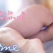 ヒメ日記 2026/03/06 13:52 投稿 あめ 蒼いうさぎ