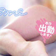 ヒメ日記 2026/08/20 10:46 投稿 あめ 蒼いうさぎ
