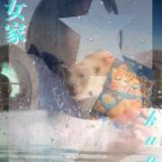 ヒメ日記 2025/04/26 10:59 投稿 くおん 熟女家 ミナミエリア店