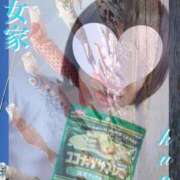 ヒメ日記 2025/04/29 11:03 投稿 くおん 熟女家 ミナミエリア店