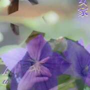 ヒメ日記 2025/08/02 10:50 投稿 くおん 熟女家 ミナミエリア店