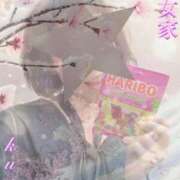 ヒメ日記 2026/01/13 10:48 投稿 くおん 熟女家 ミナミエリア店