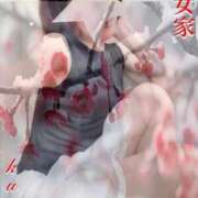 ヒメ日記 2026/02/20 10:55 投稿 くおん 熟女家 ミナミエリア店