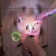 ヒメ日記 2025/06/02 20:06 投稿 川口みつは ウルトラブレイズ