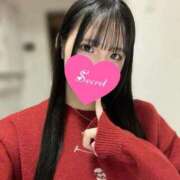 ヒメ日記 2025/12/12 10:36 投稿 川口みつは ウルトラブレイズ