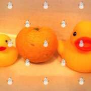 ヒメ日記 2024/12/20 18:05 投稿 矢口★ Club夢