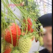 ヒメ日記 2025/02/24 11:01 投稿 矢口★ Club夢