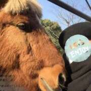 ヒメ日記 2026/03/03 07:01 投稿 矢口★ Club夢