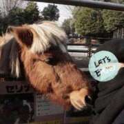 ヒメ日記 2026/03/07 07:00 投稿 矢口★ Club夢