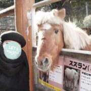 ヒメ日記 2026/03/10 07:01 投稿 矢口★ Club夢