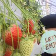 ヒメ日記 2026/03/26 07:02 投稿 矢口★ Club夢