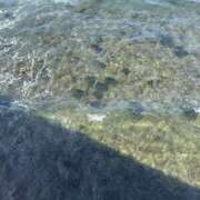 ヒメ日記 2025/08/19 11:15 投稿 あきら 新大阪秘密倶楽部