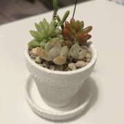 ヒメ日記 2025/10/26 19:05 投稿 あきら 新大阪秘密倶楽部