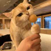 あきら だいすき 新大阪秘密倶楽部