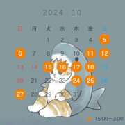 ヒメ日記 2024/10/25 19:30 投稿 森さつき White Rabbit 横浜