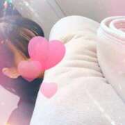 ヒメ日記 2025/03/20 10:31 投稿 かえで 千姫(道後)