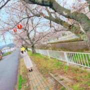 ヒメ日記 2025/04/08 14:57 投稿 かえで 千姫(道後)