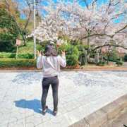 ヒメ日記 2025/04/12 14:04 投稿 かえで 千姫(道後)