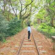 ヒメ日記 2025/04/24 20:31 投稿 かえで 千姫(道後)