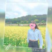 ヒメ日記 2025/05/02 10:25 投稿 かえで 千姫(道後)